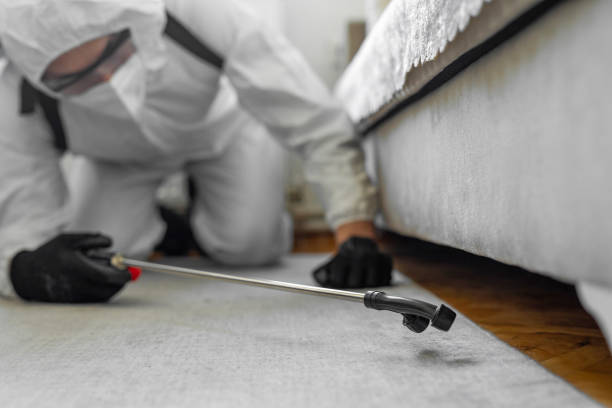 Professional Pest Control technician working in Calhoun County County, SC